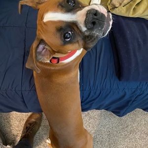 Meet your Posher, Chris